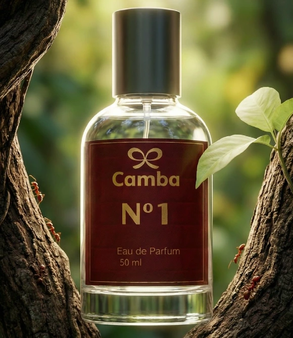 Camba N1